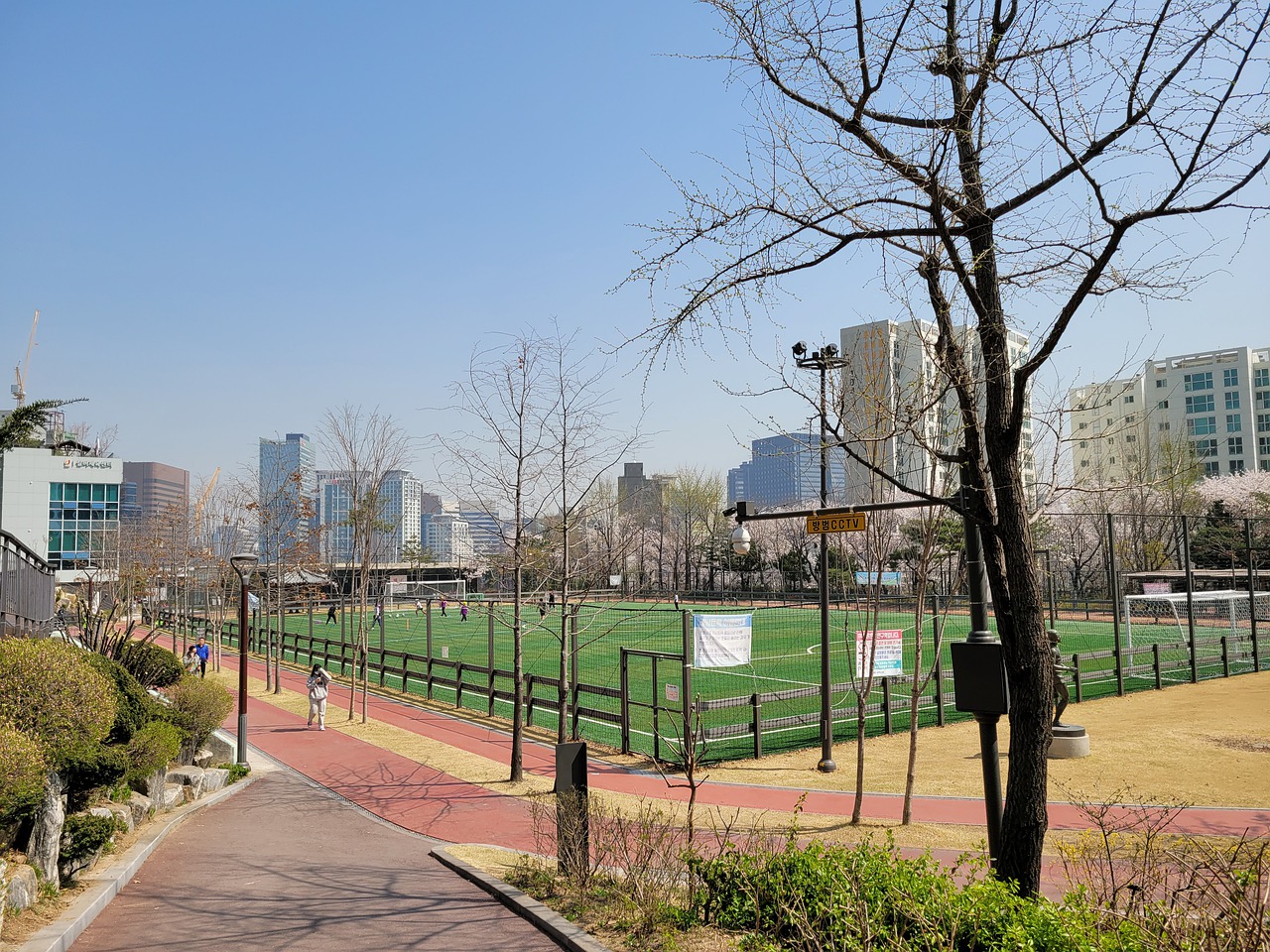 是团队的领 是团队的领