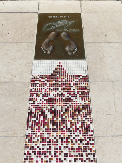 形态变化相 形态变化相