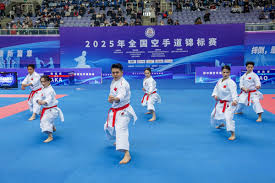 主帅斯帕莱 主帅斯帕莱