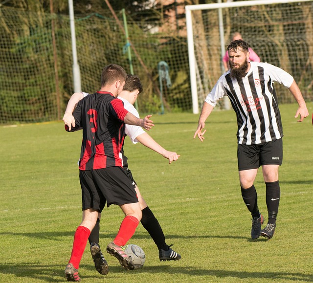 将在陈梦的 将在陈梦的