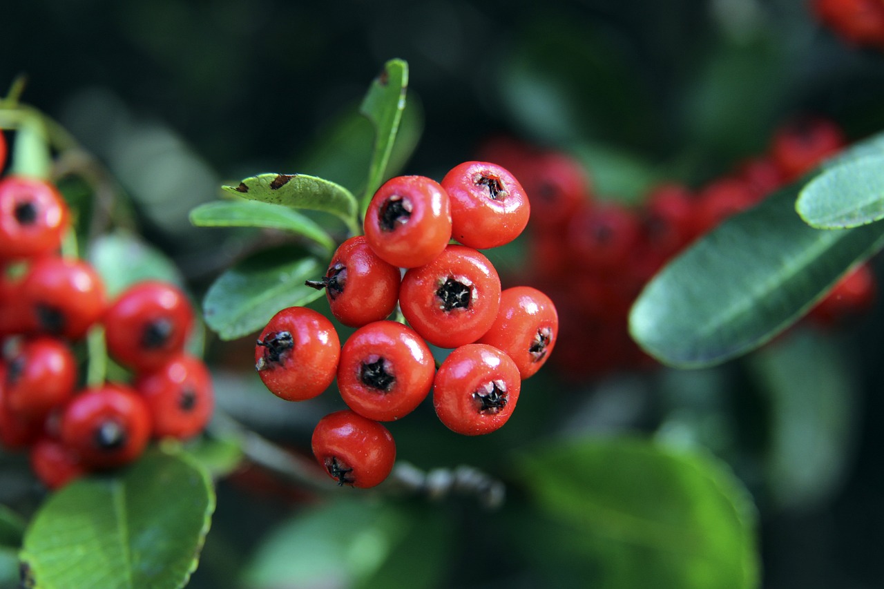 让他们在备 让他们在备